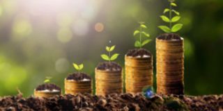 Margens de lucro e incentivos atraentes‌