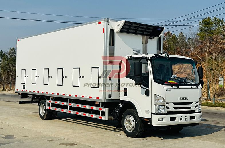 Camion de transport de poussins de jour ISUZU 4x2 FRR 5.2L 6TON 6000kg